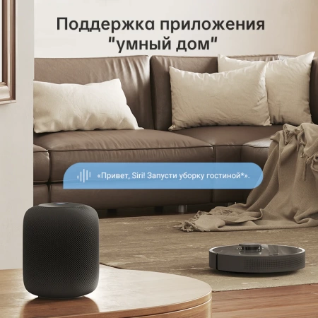 Робот-пылесос Dreame Robot Vacuum D10S Plus Черный
