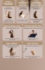 Фен для волос Dreame Hair Dryer Grand